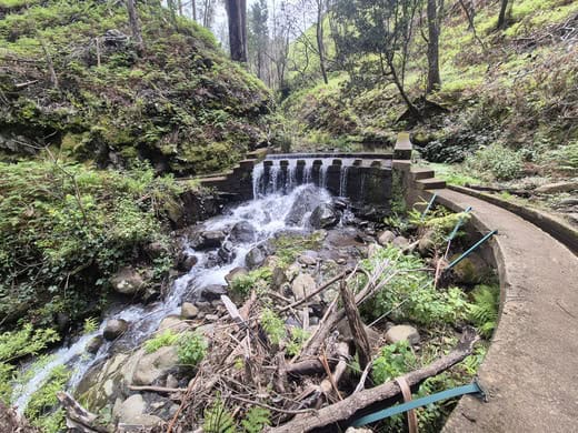 Een kleine waterval langs een wandelpad op Madeira voor een koele zomerwandeling